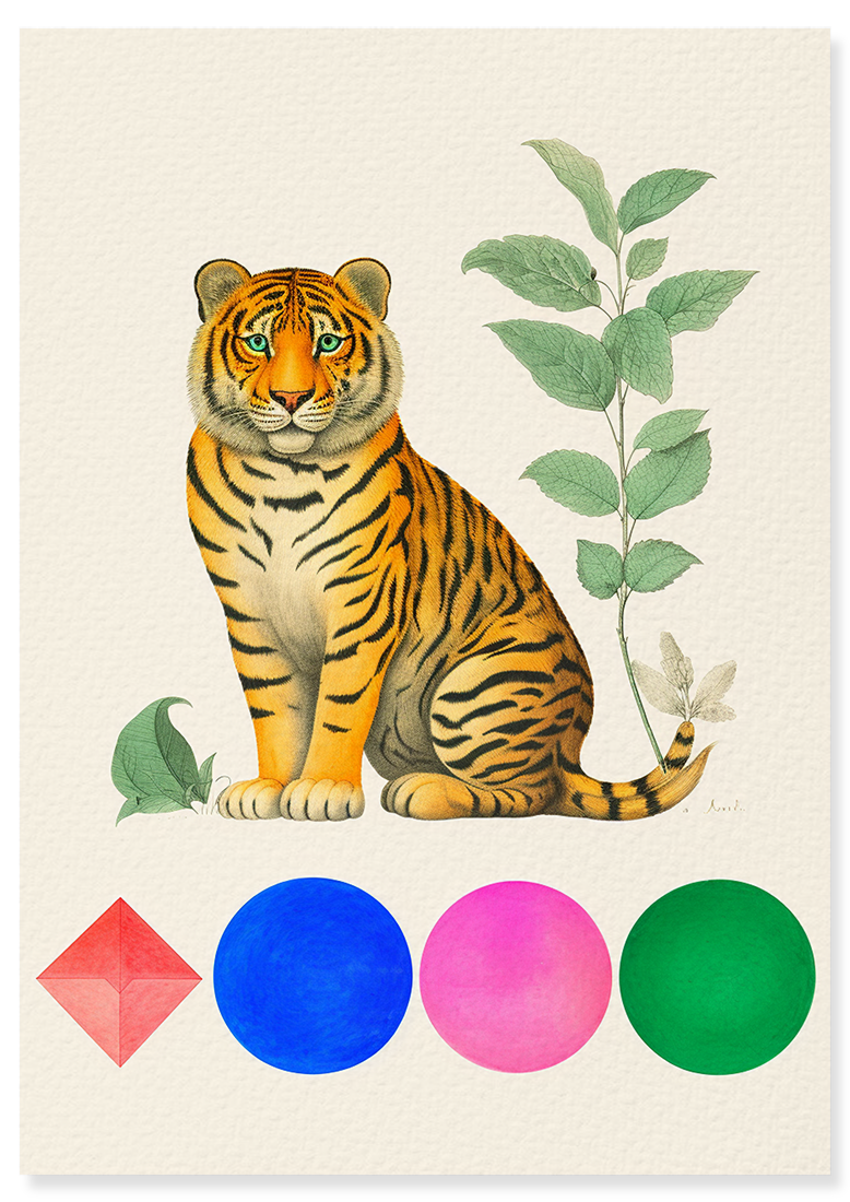 Affiche déco chambre bébé enfant - Animal géométrie A - jaune vert
